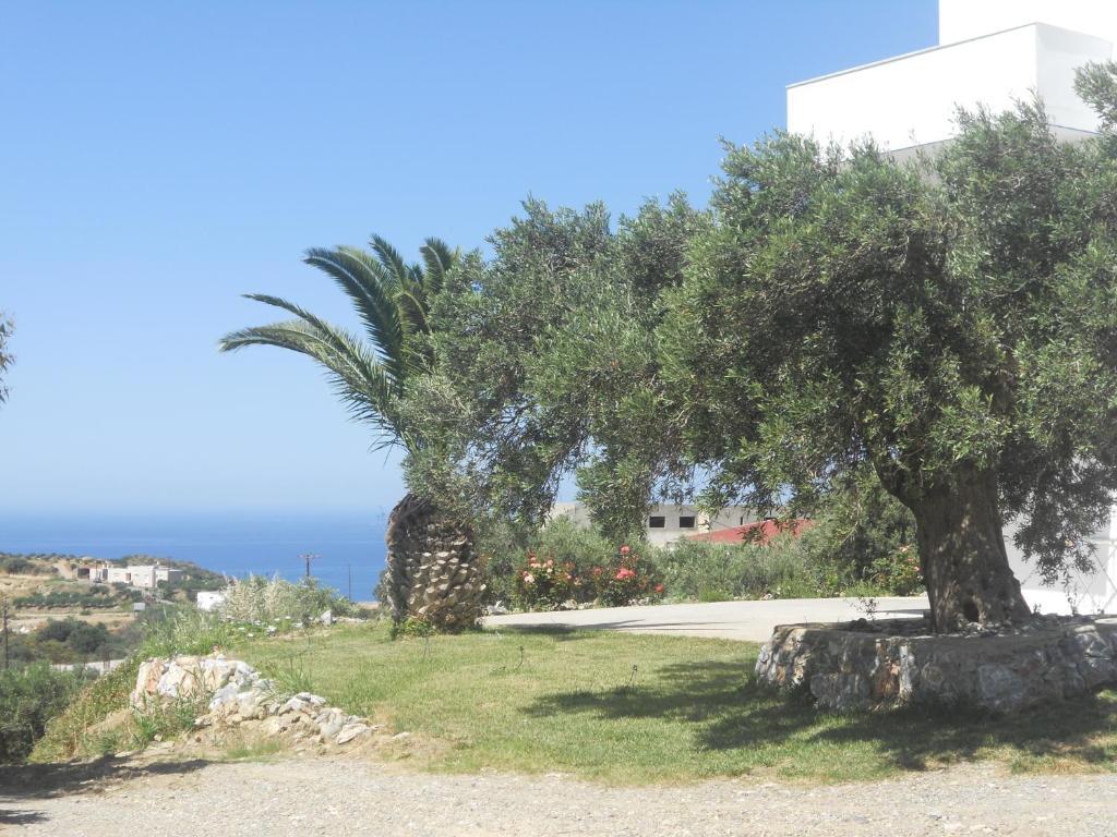 Galini Apartments Plakias Esterno foto