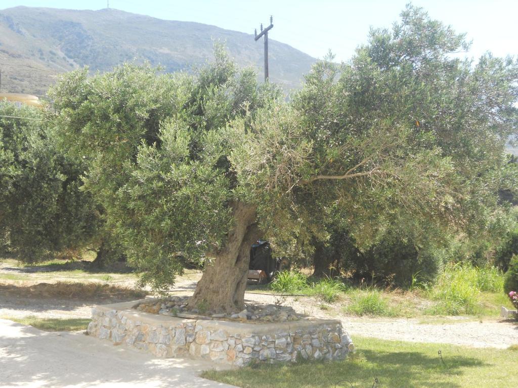 Galini Apartments Plakias Esterno foto